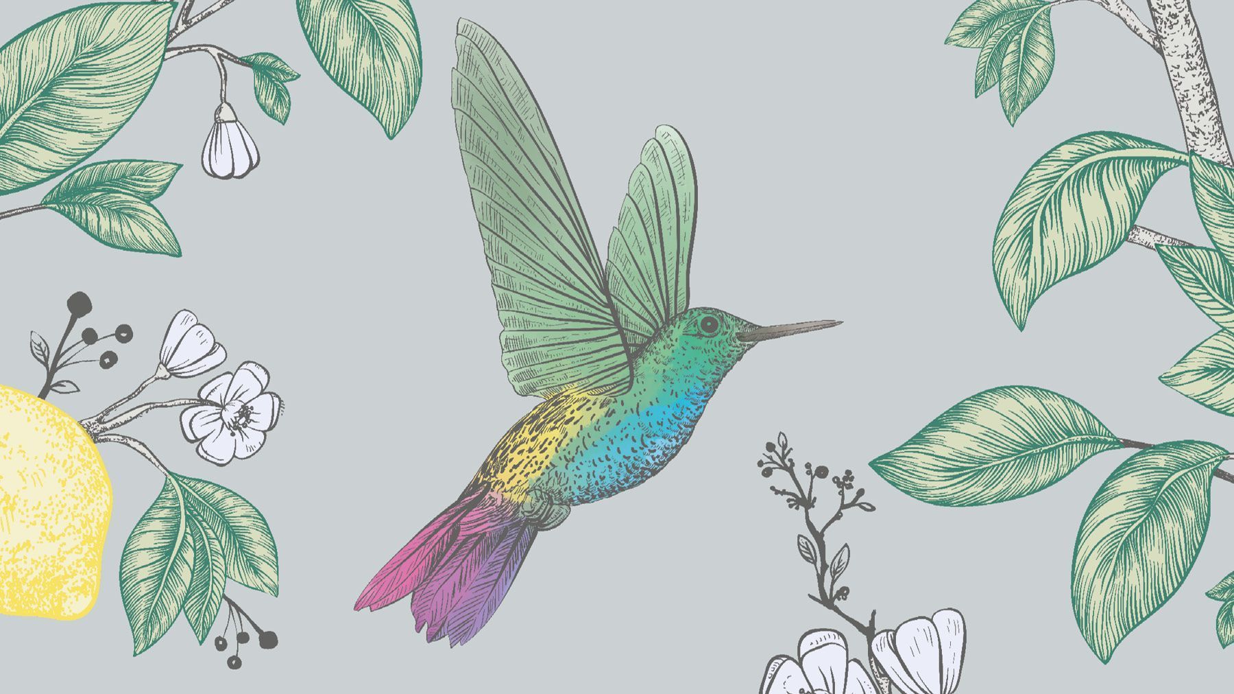 Kolibri Design von Pasca Walter für Teba