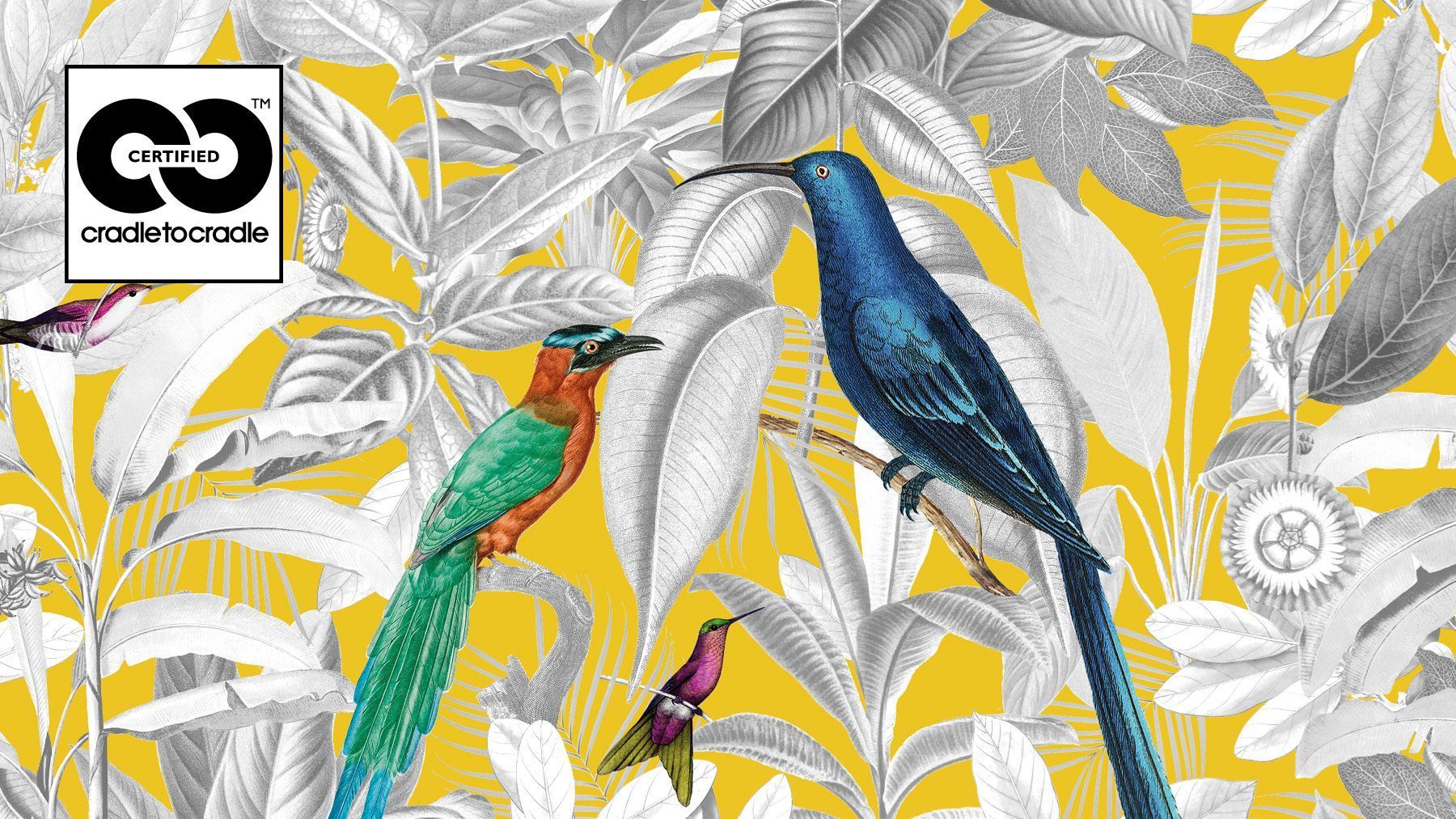 Teba Dessin Amazonia gelb