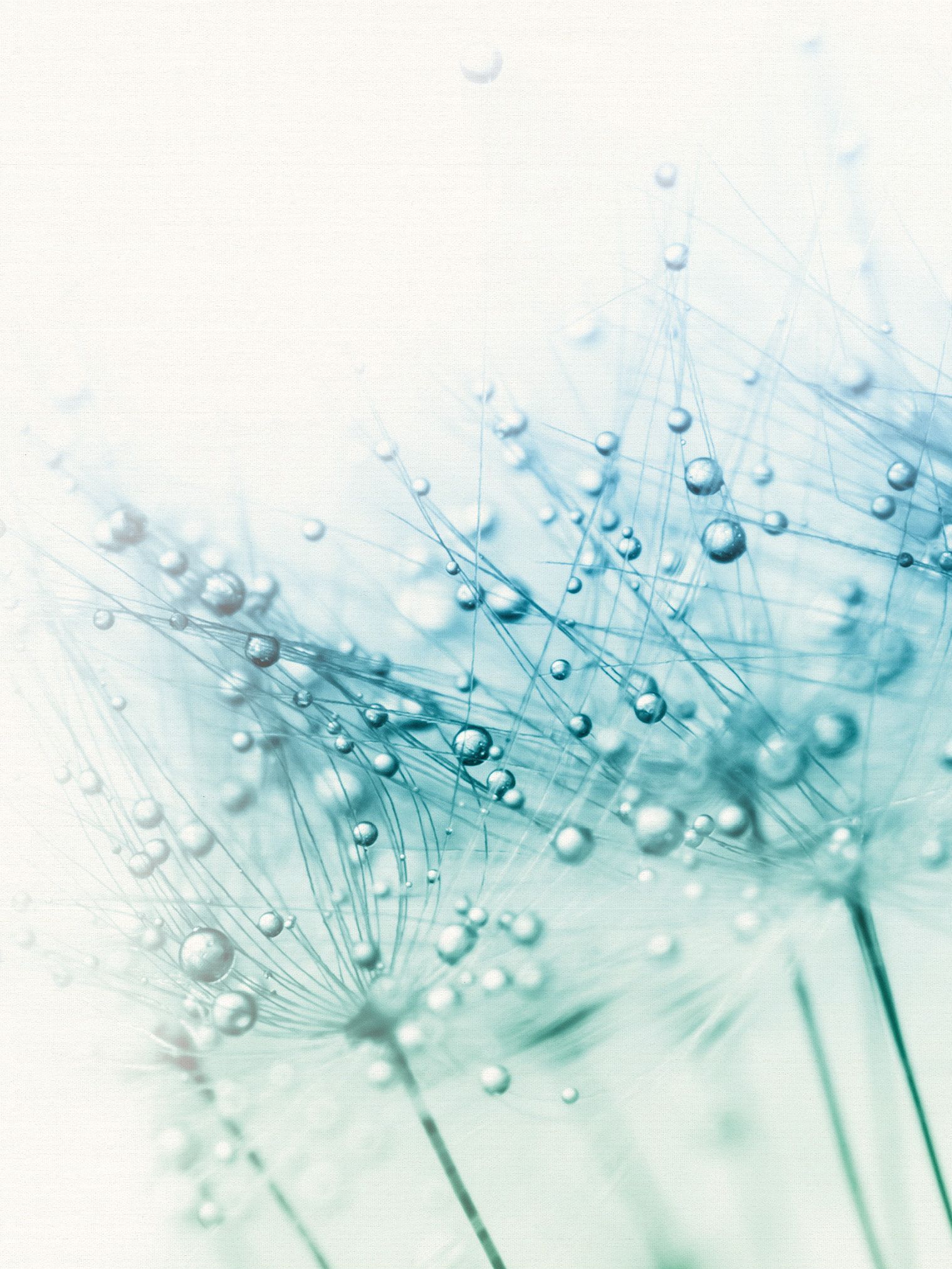 Flächenvorhang mit Blumen und Tautropfen Stoffmuster