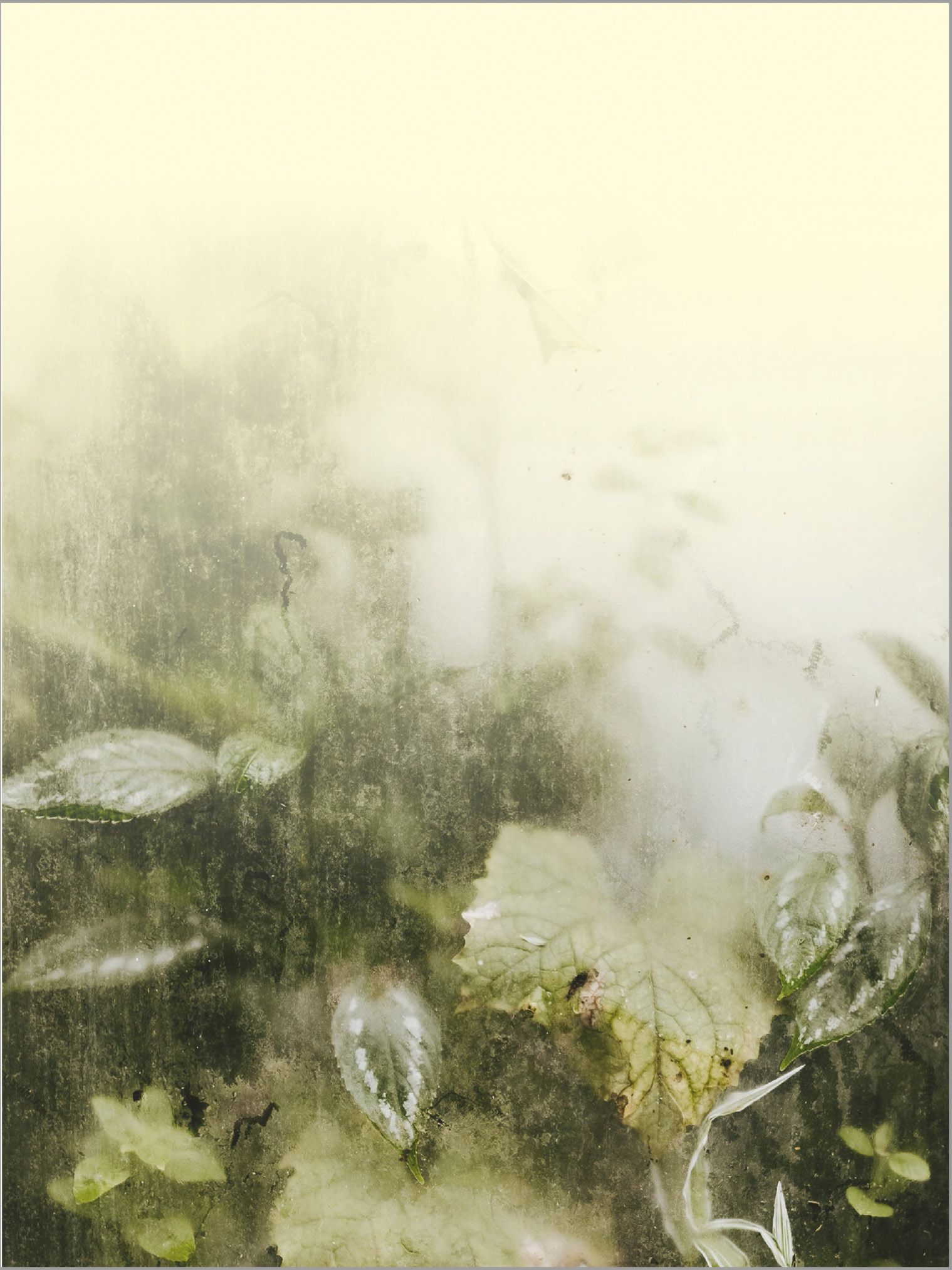 Flächenvorhang mit Grünen Blättern Stoffmuster