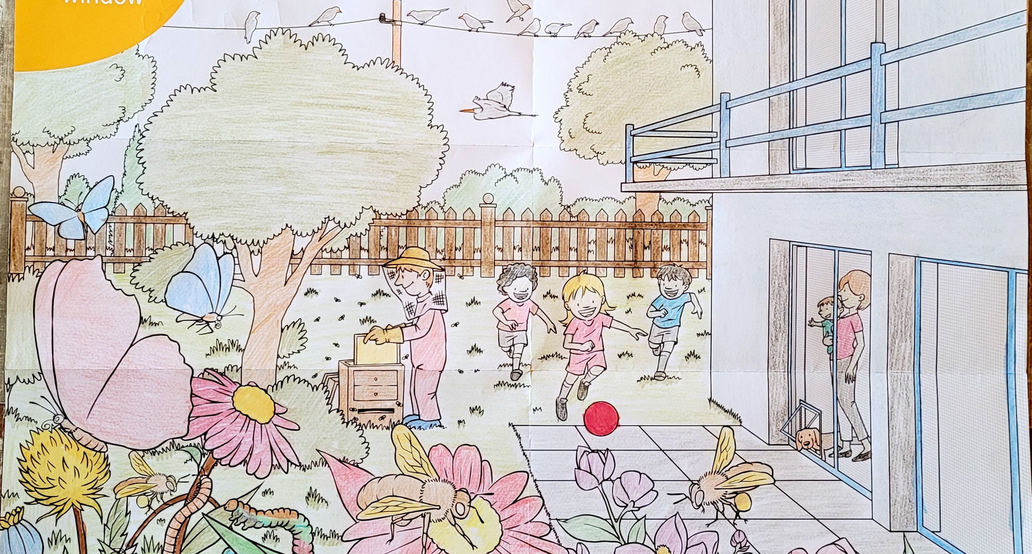 Ausgemaltes Bild aus dem Teba Insektenschutz Malbuch 10