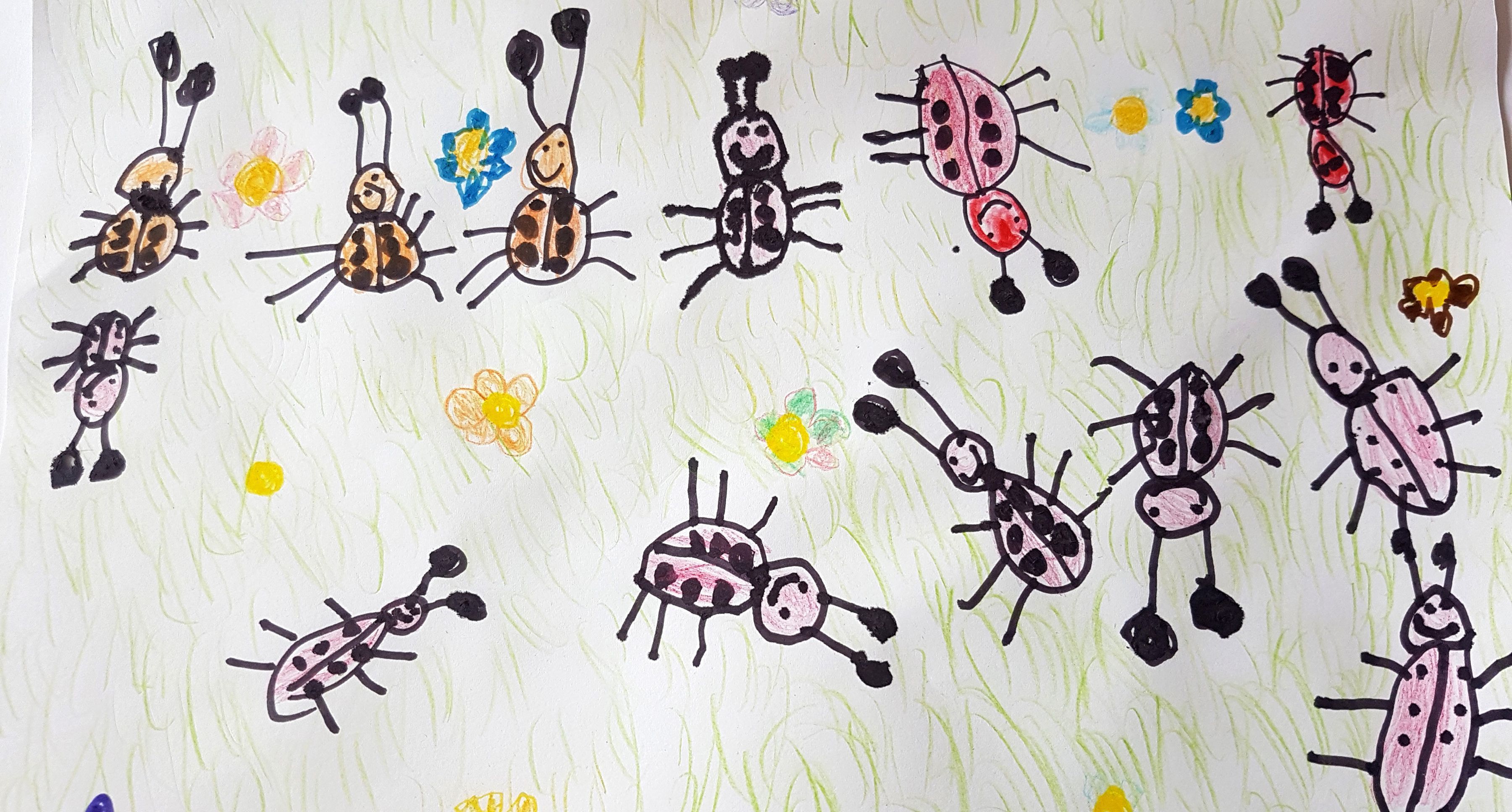 Ausgemaltes Bild aus dem Teba Insektenschutz Malbuch 11