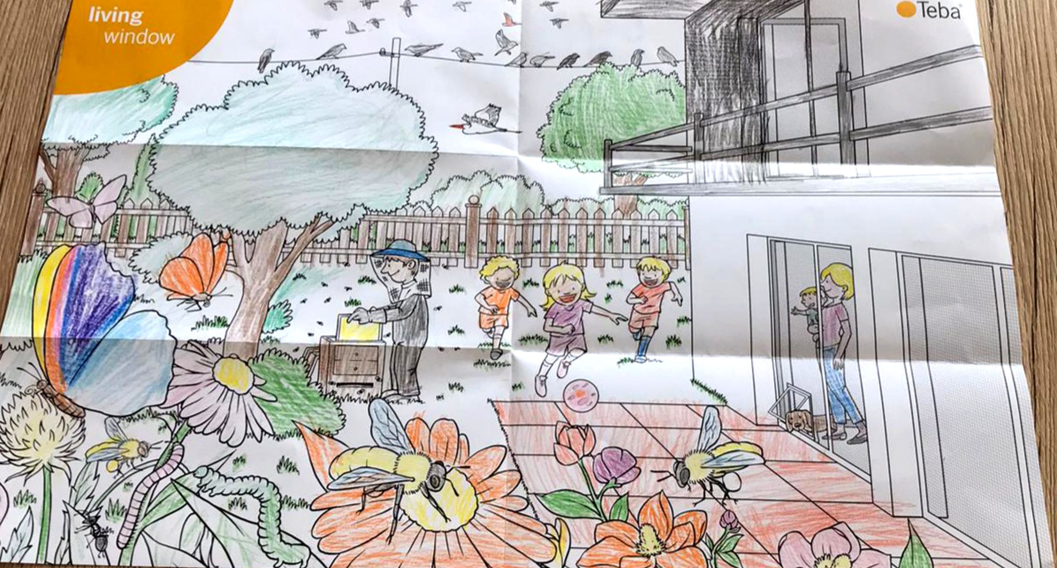 Ausgemaltes Bild aus dem Teba Insektenschutz Malbuch 12