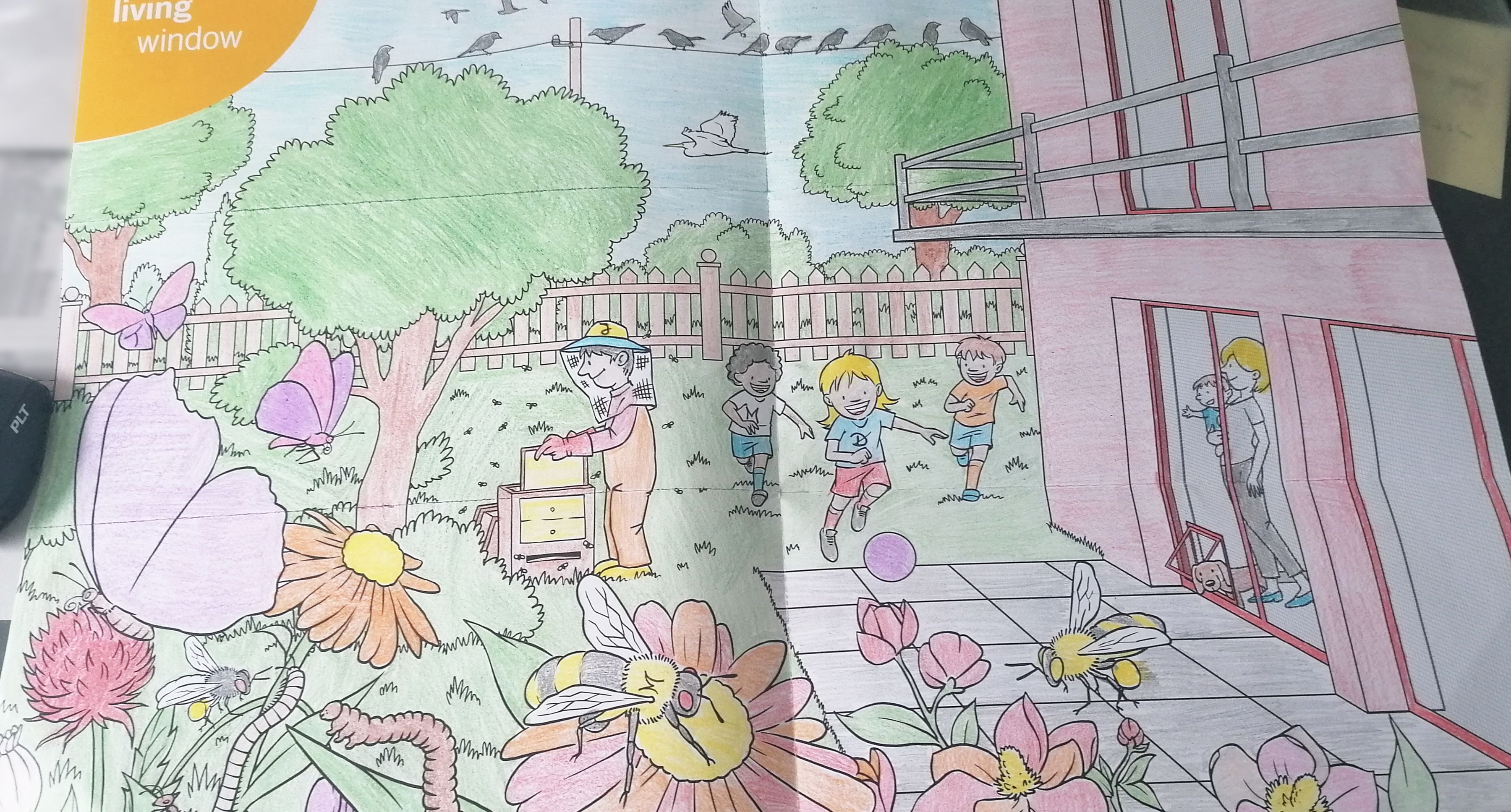 Ausgemaltes Bild aus dem Teba Insektenschutz Malbuch 1