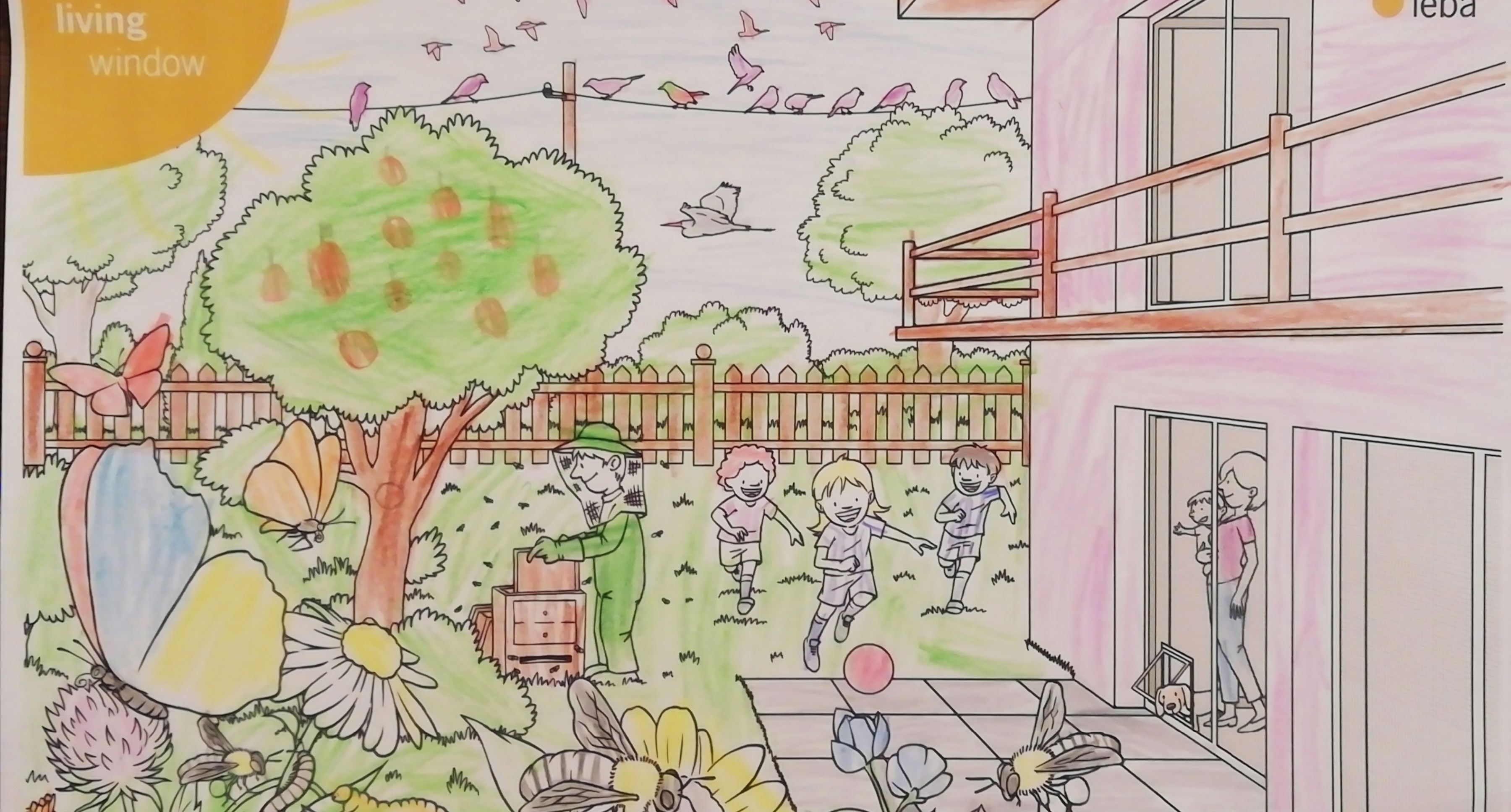 Ausgemaltes Bild aus dem Teba Insektenschutz Malbuch 3