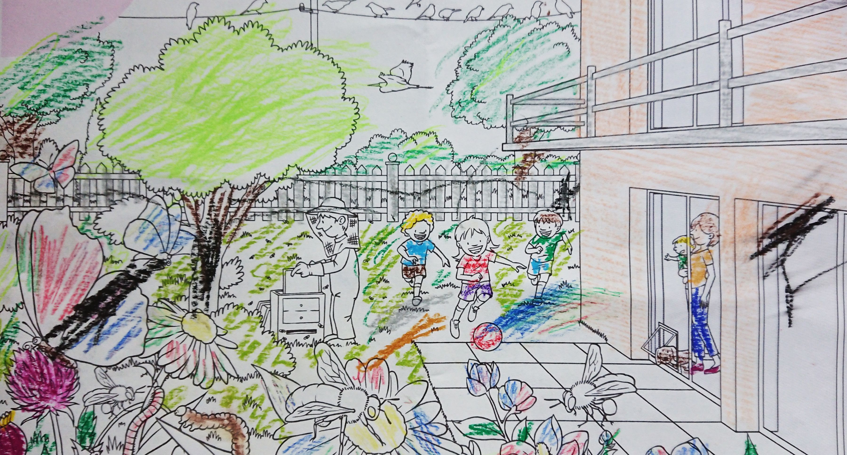 Ausgemaltes Bild aus dem Teba Insektenschutz Malbuch 6