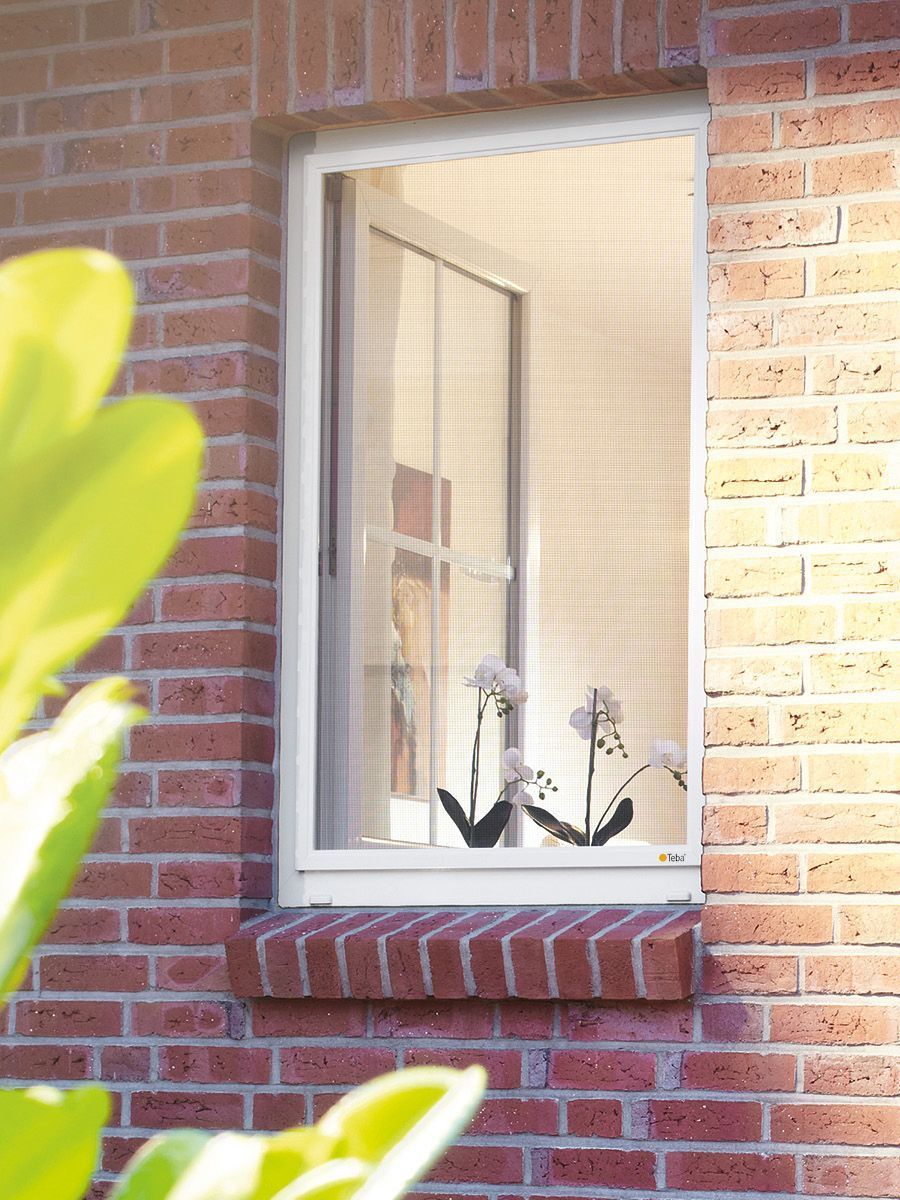 Teba_Insektenschutz_Fensterrahmen.jpg