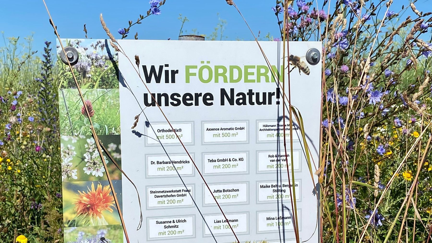 Umweltschutz Schild in Natur