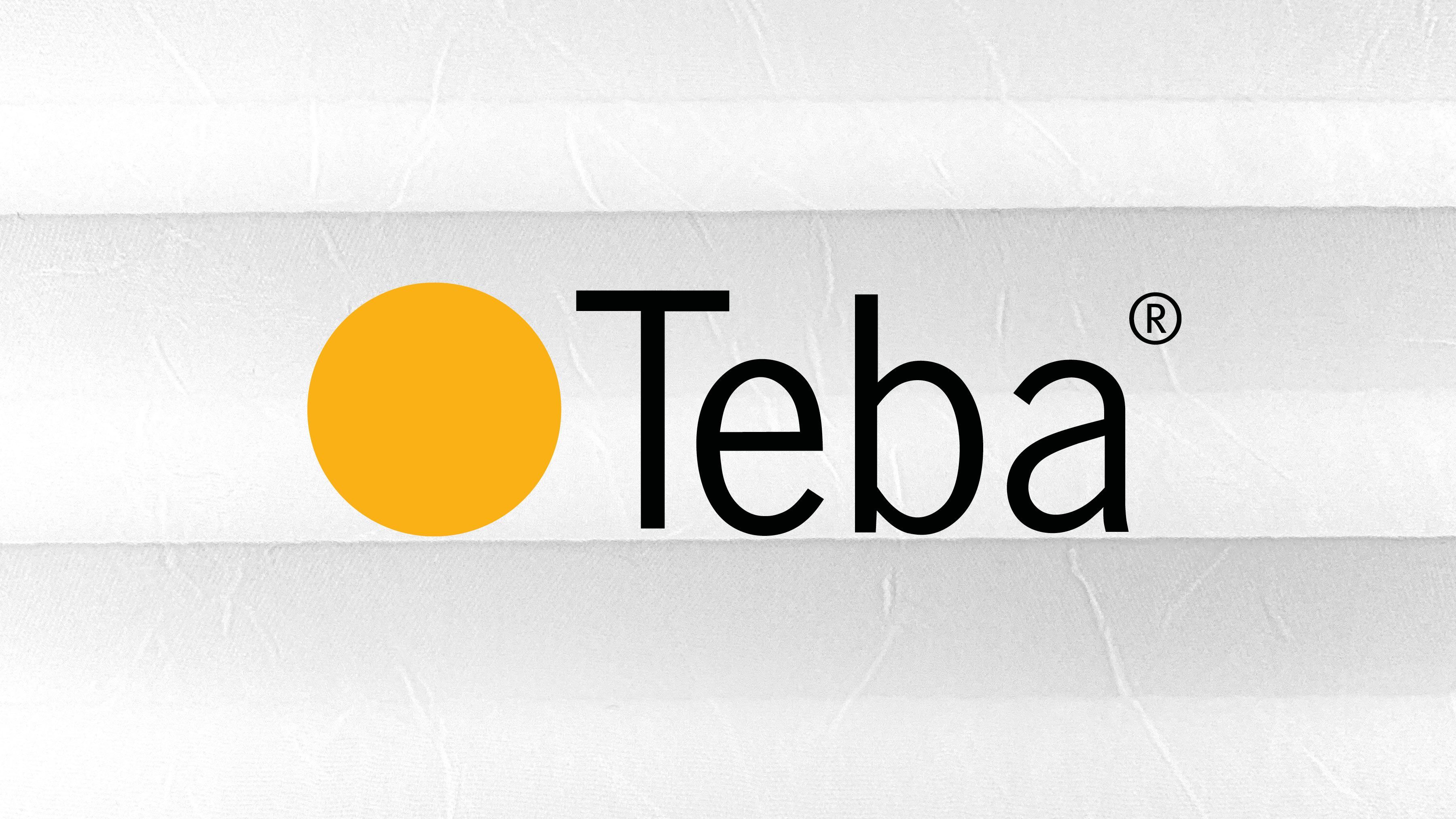 Teba Logo