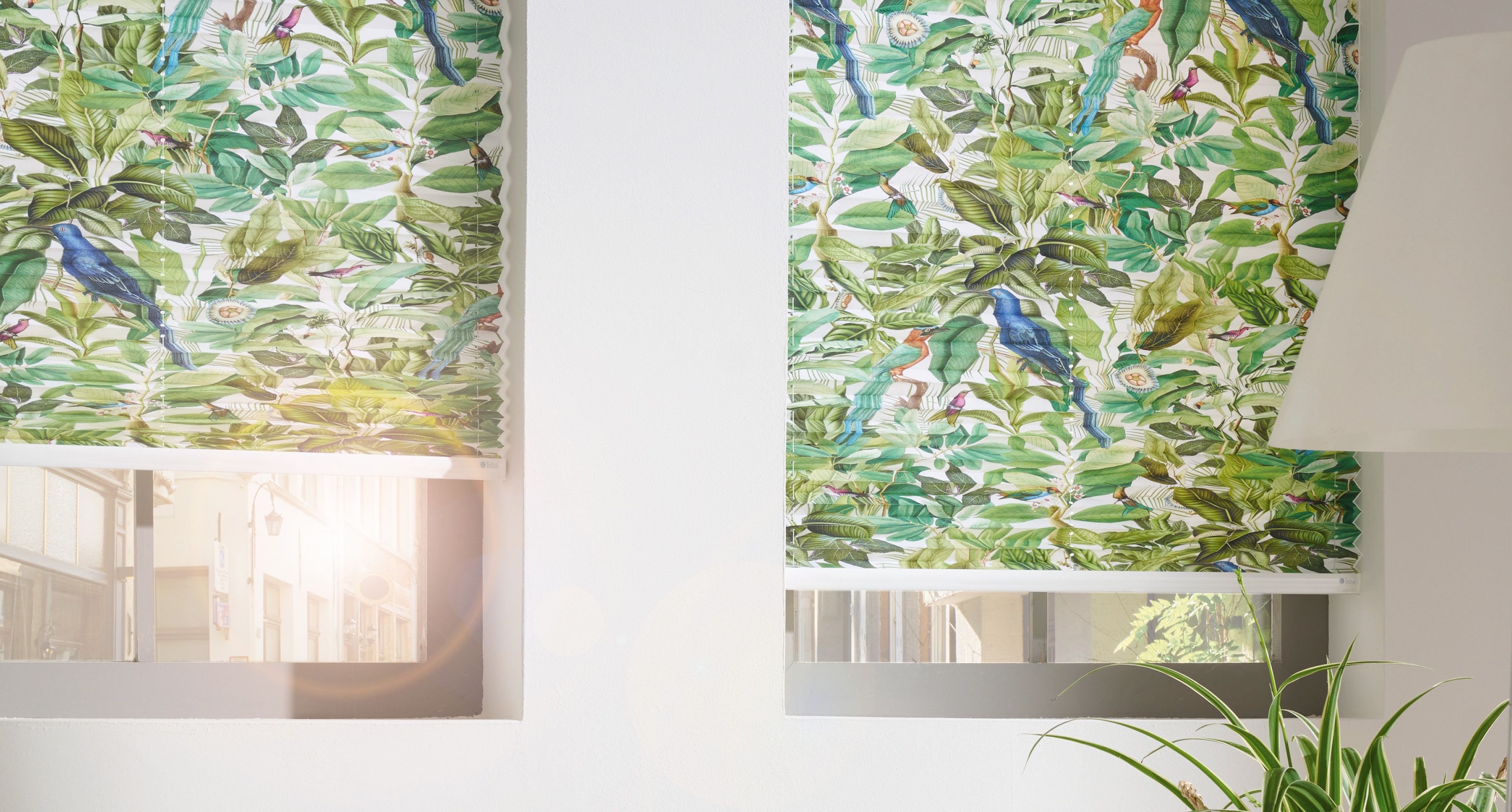 Teba Plissee Design Amazonia grün