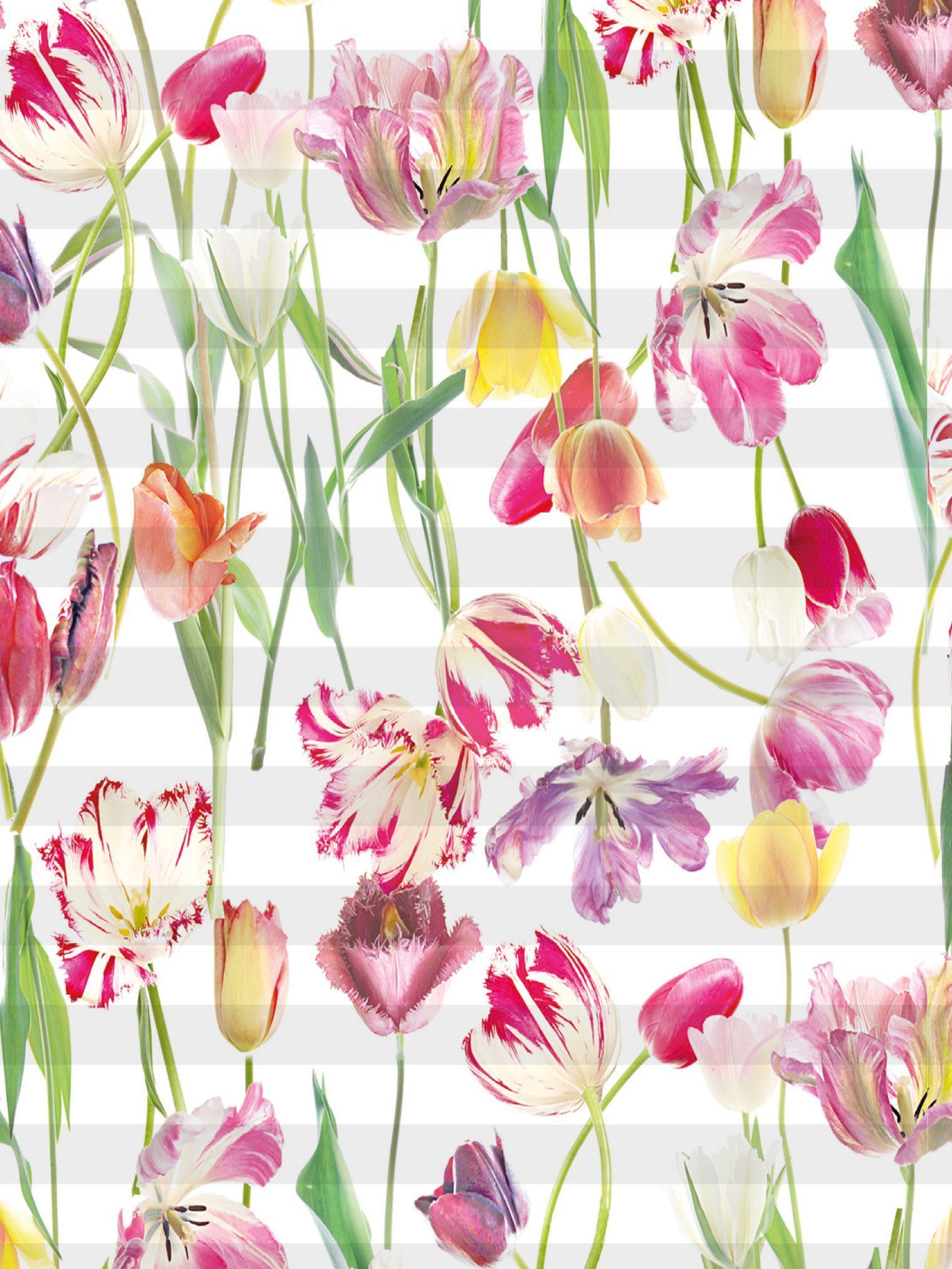 Blumen Stoffmuster Plissee Teba