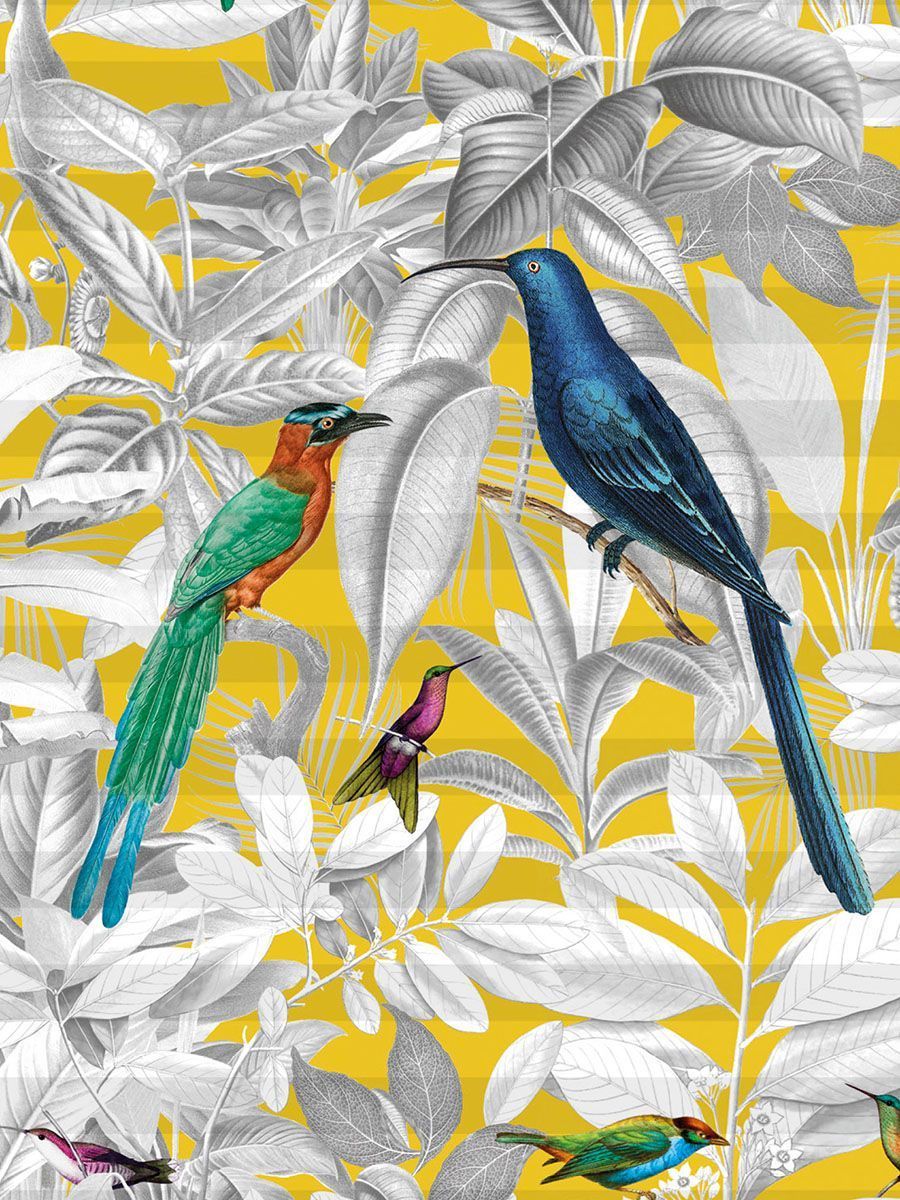 Plissee mit Vögeln und einem gelben Hintergrund