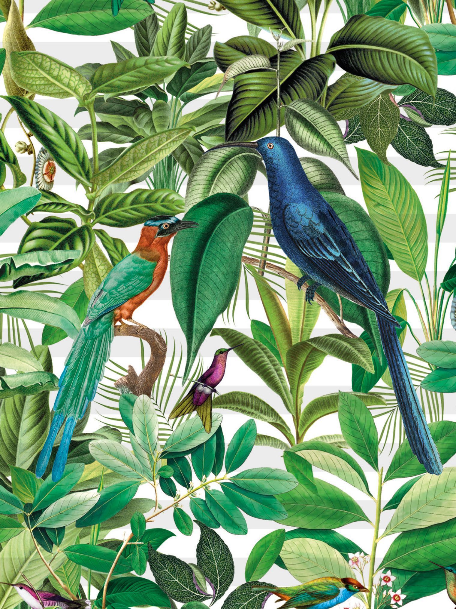 Plissee mit Vögeln und grünen Blättern als Stoffmuster