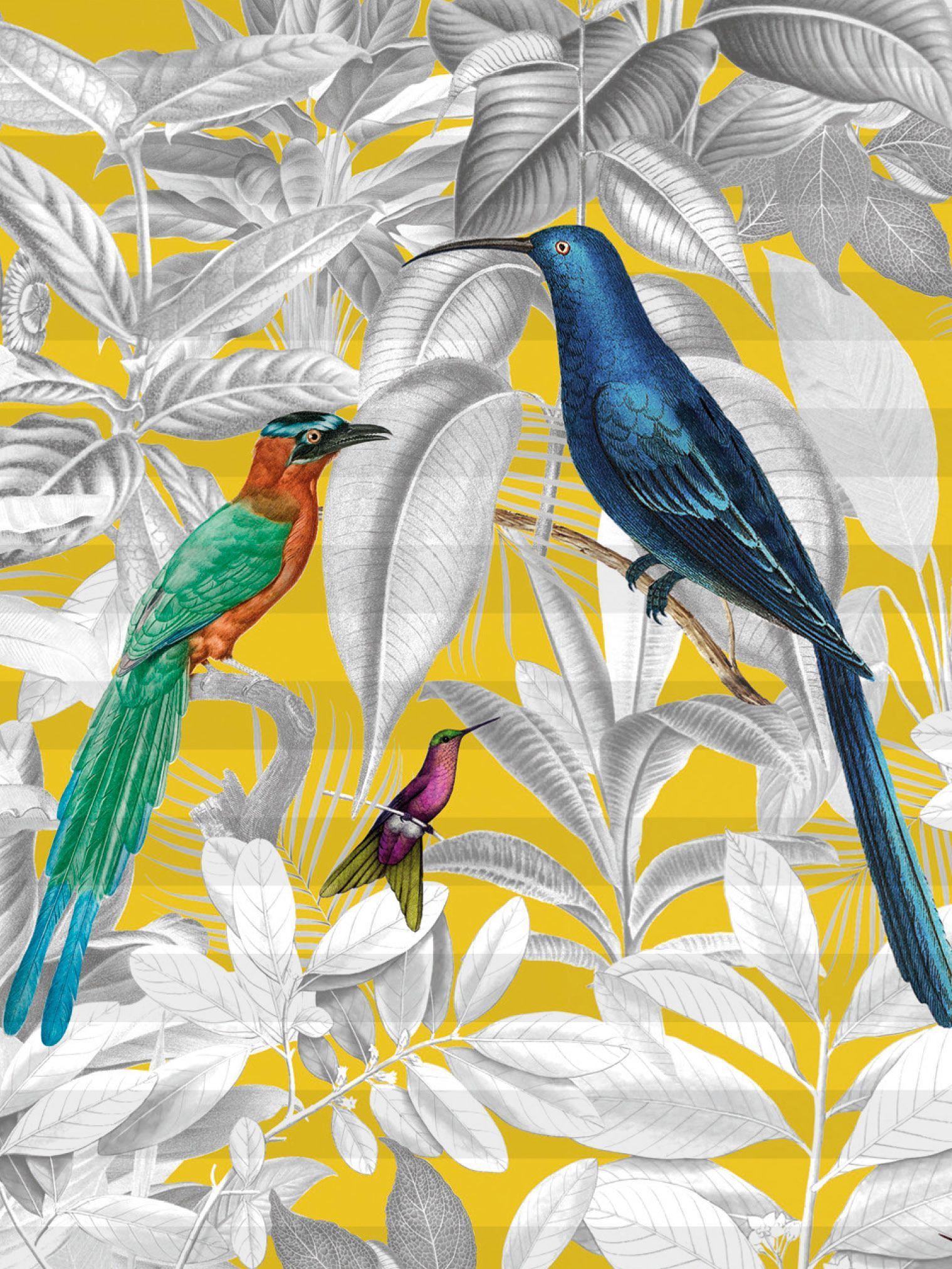 Teba Plissee mit Design Paradiesvogel 