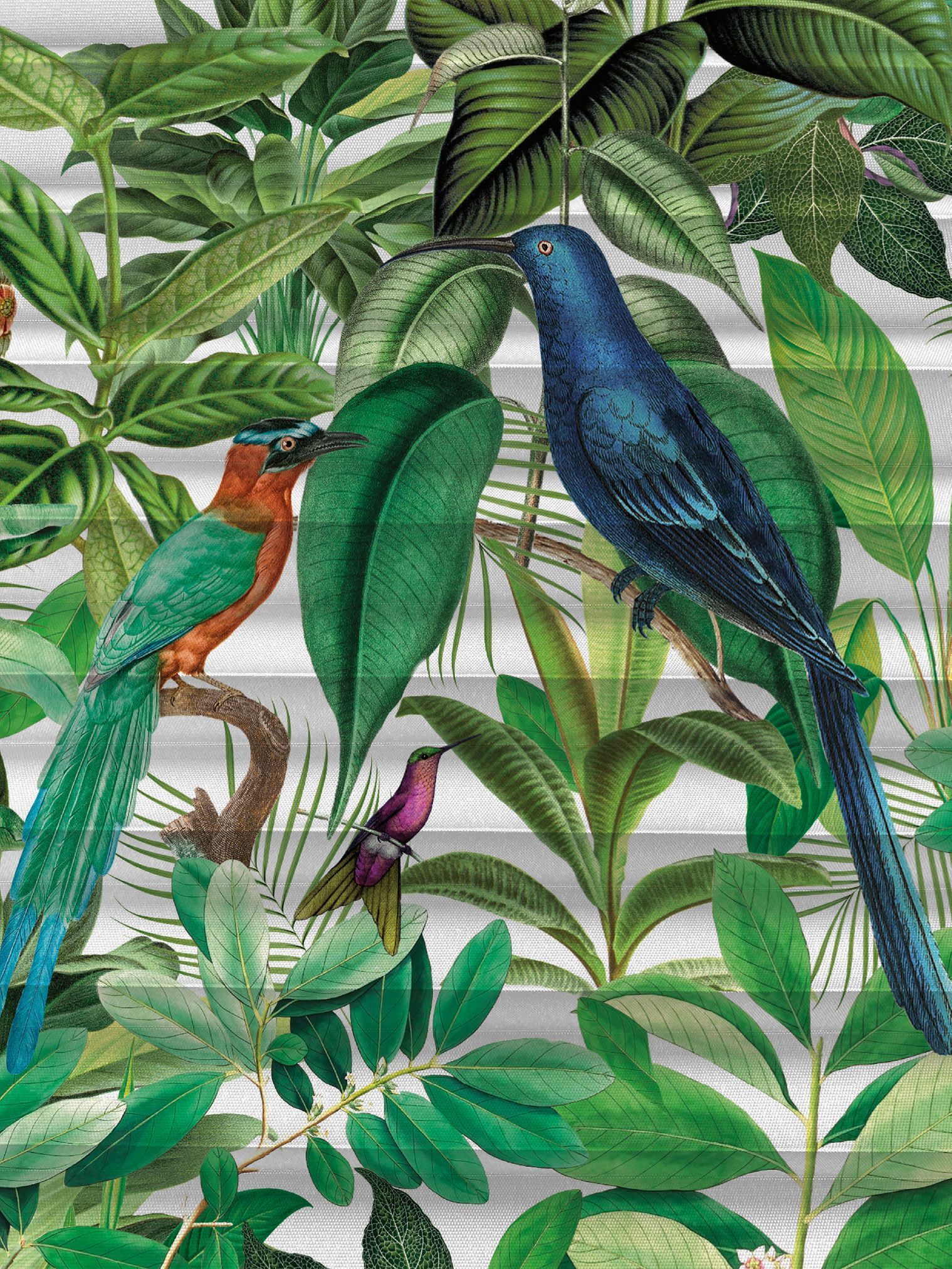 Teba Plisseemit APELT Design Paradiesvoegel 