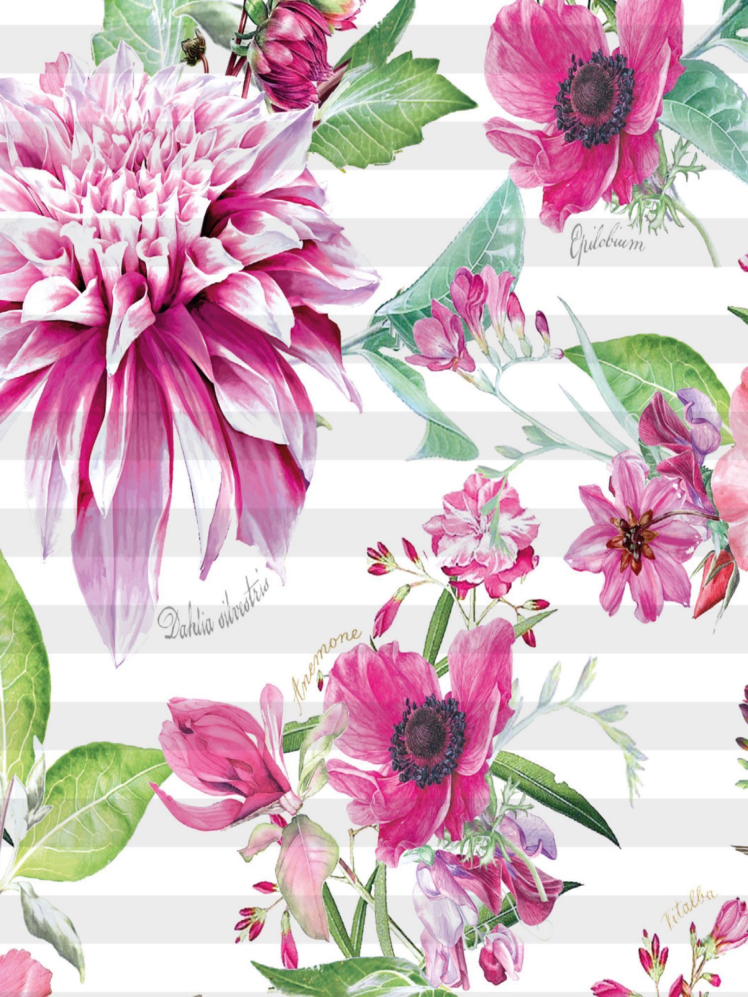 Teba DUETTE Wabenplissee mit floralem Dessin beerenfarben