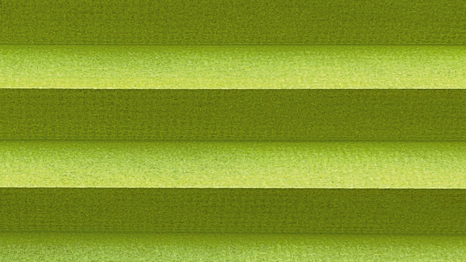 grünes Wabenplissee