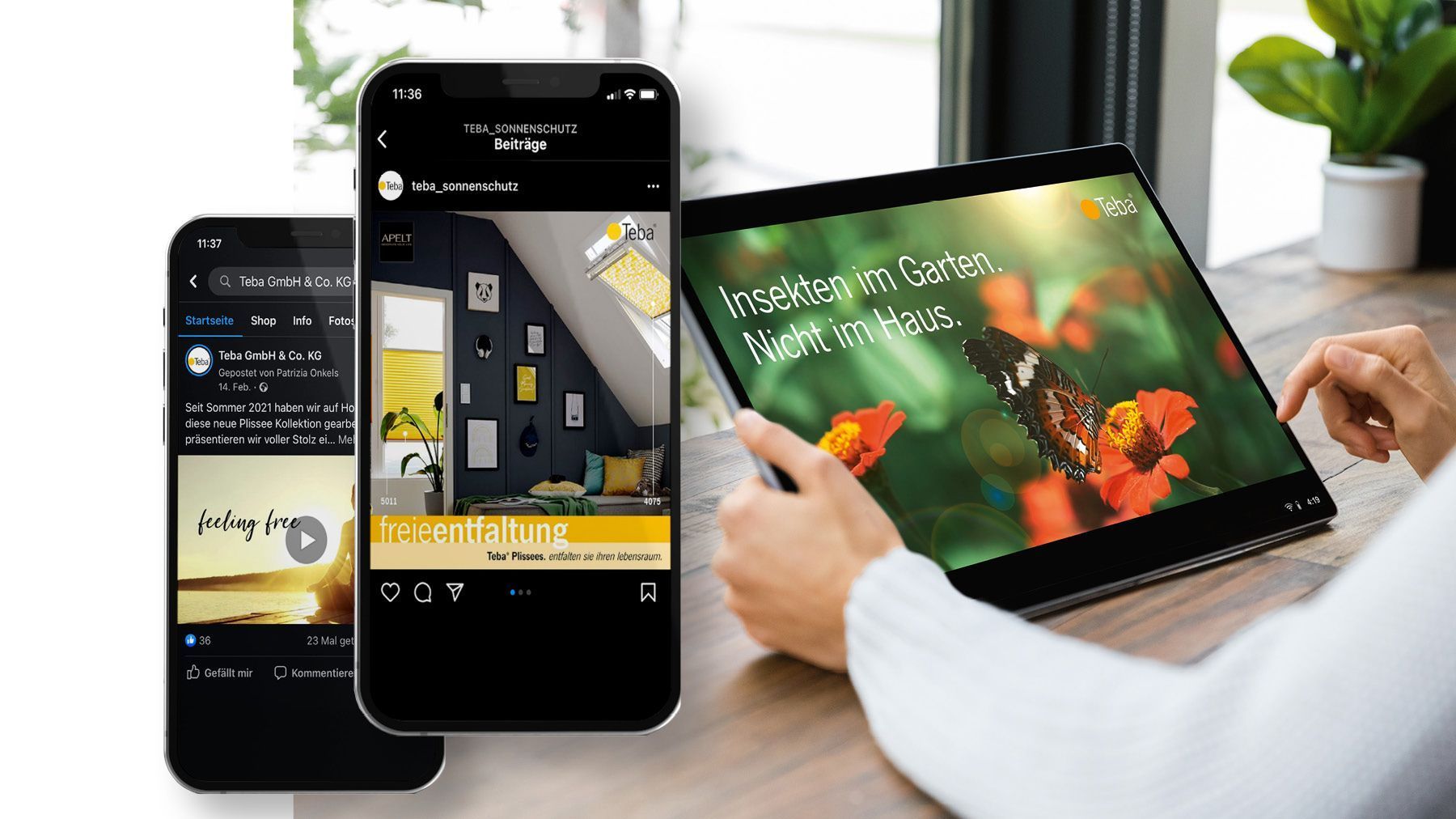 Digitaler Content für Teba-Händler
