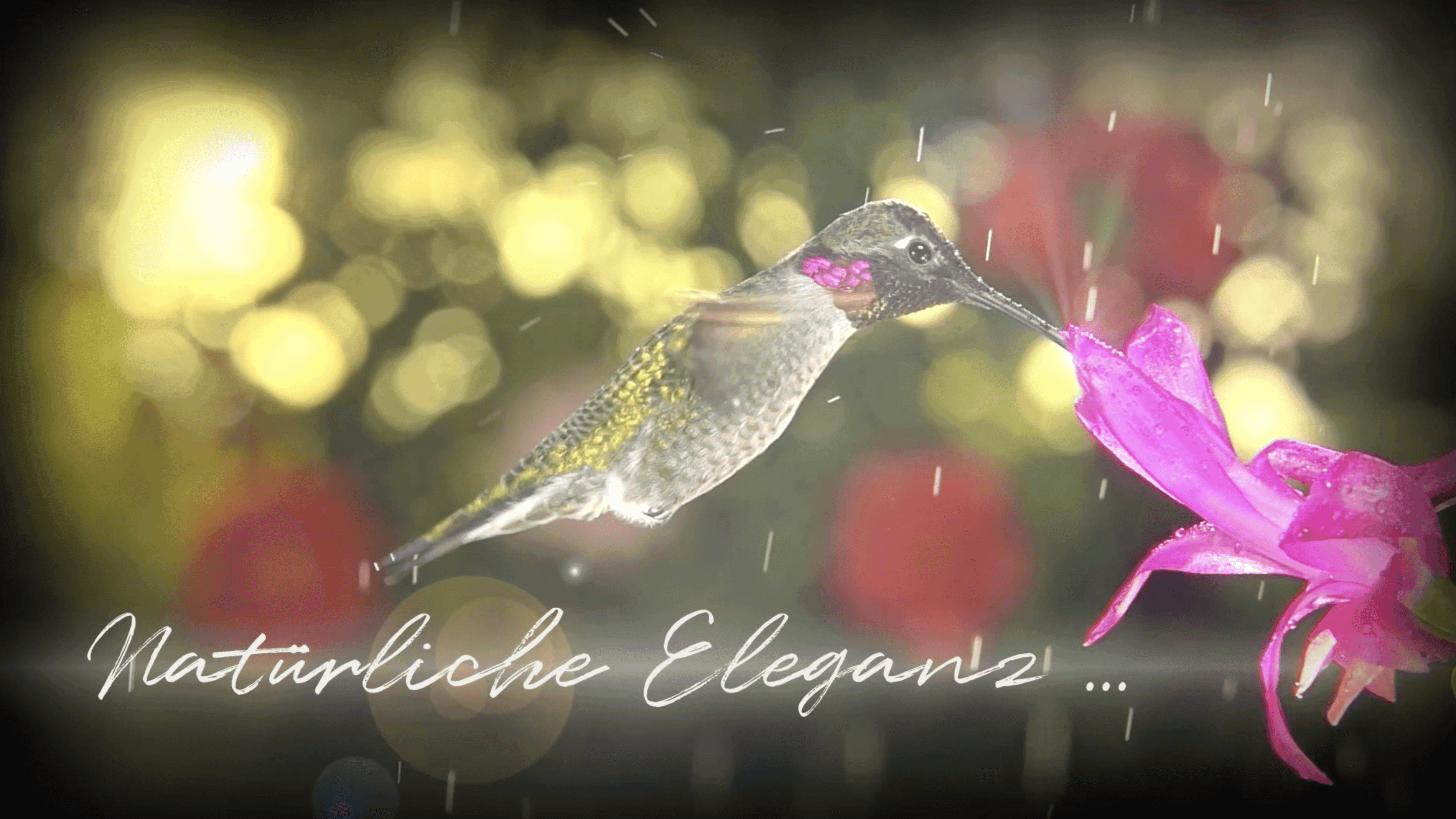 Vorschaubild Video Wabenplissees von Teba