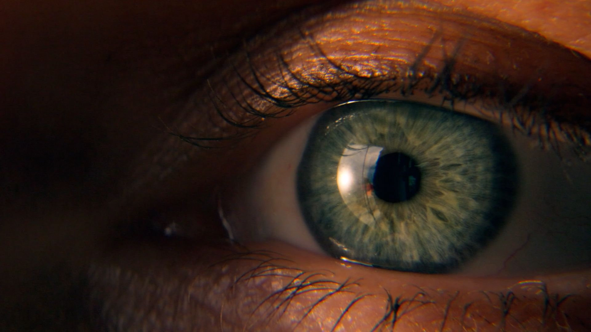 Videovorschau Teba MotionBlinds