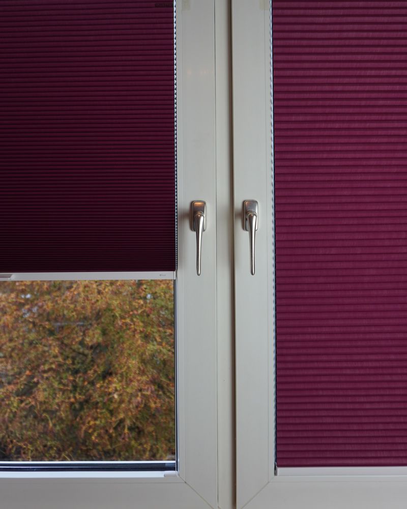 rotes teba Wabenplissee in Glastür